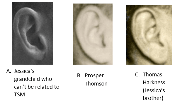 4 relatives ears